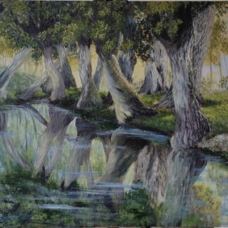 O pântano de Poitevin - França