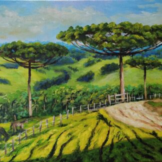Araucárias na serra