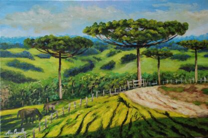 Araucárias na serra