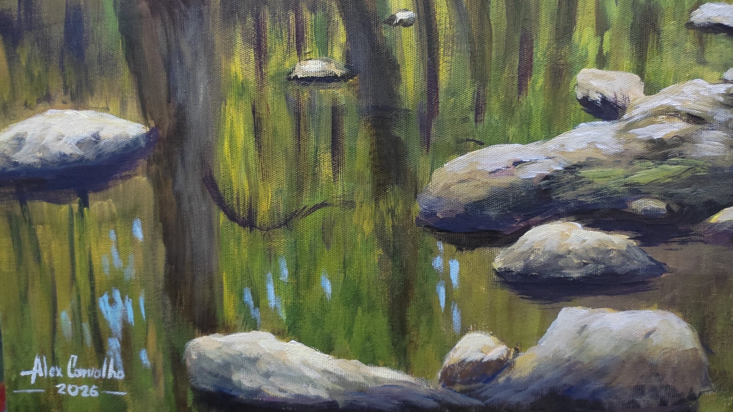 O rio e a Floresta - Imagem 6