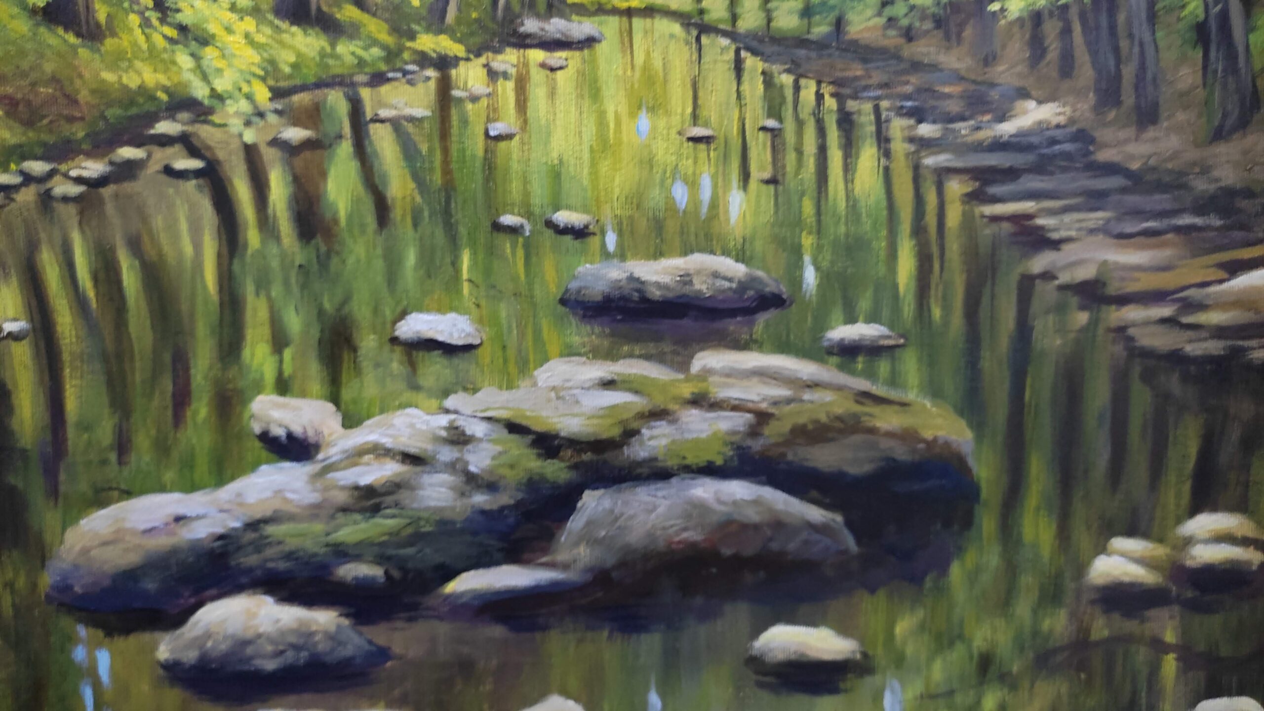 O rio e a Floresta - Imagem 5