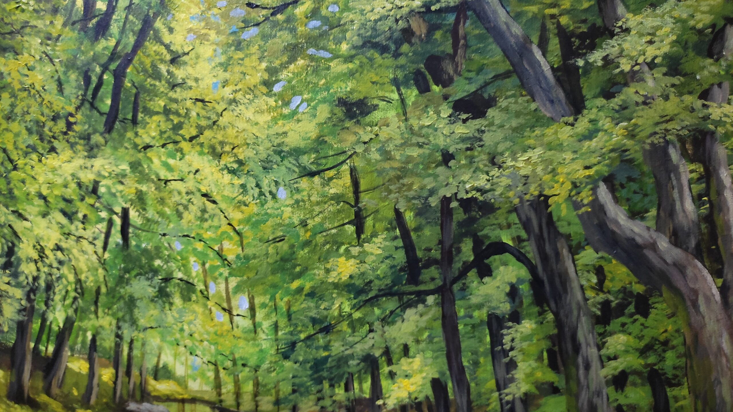 O rio e a Floresta - Imagem 3